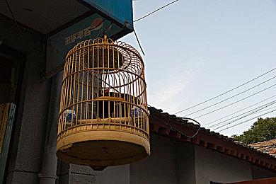 《真女神转生5：复仇》即将发售 Switch原版宣布停售